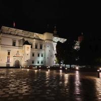 A brief walk in the beautiful Vilnius after dinner